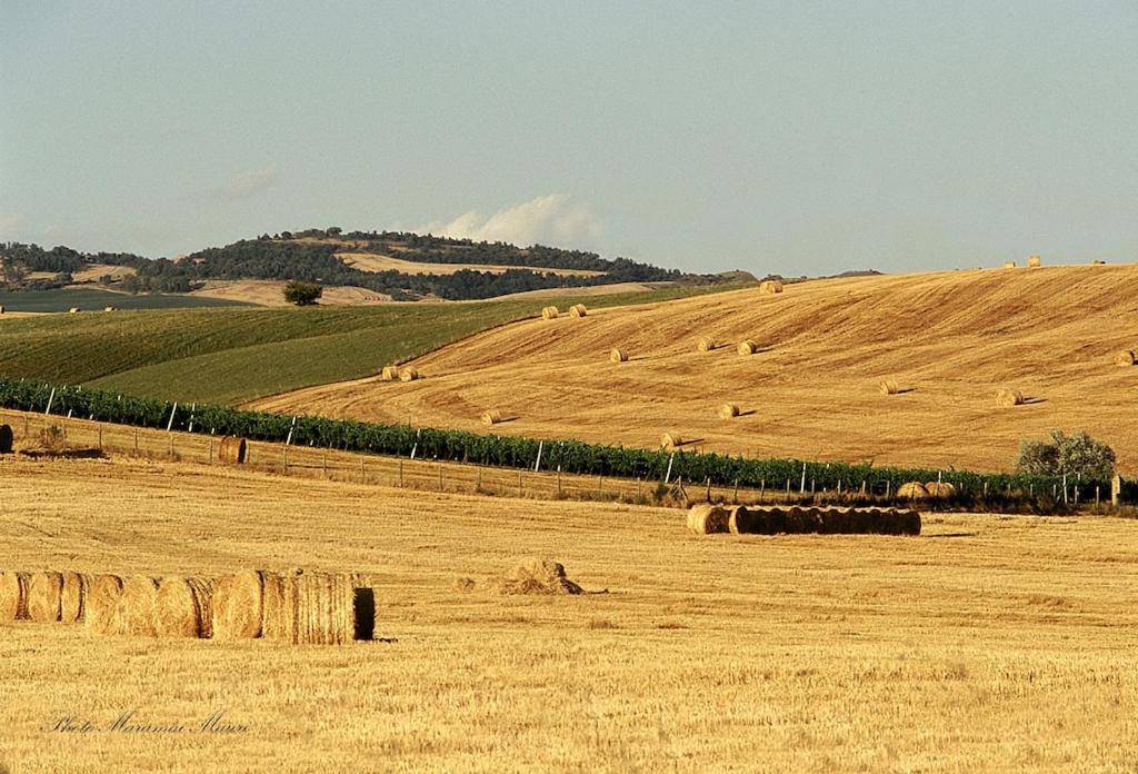 Agriturismo Podere Biancospino Piscina Privata เคียนเชียโนแตร์เม ภายนอก รูปภาพ